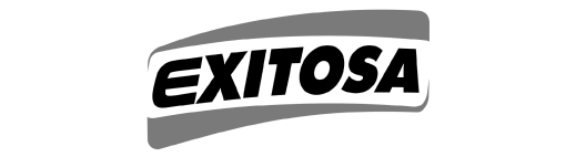 EXITOSA-WEB}